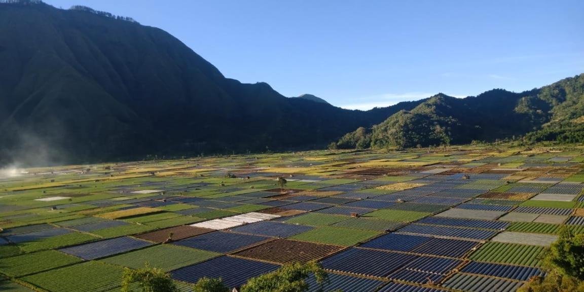 Rinjani Hill Hotel 셈바룬 라왕 외부 사진