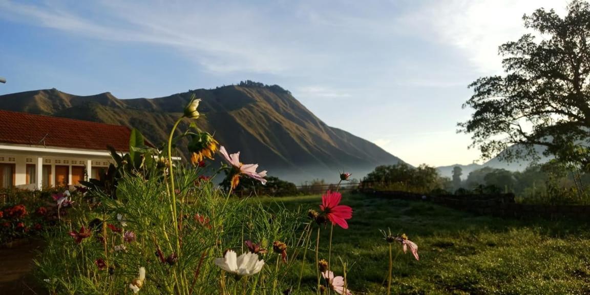 Rinjani Hill Hotel 셈바룬 라왕 외부 사진