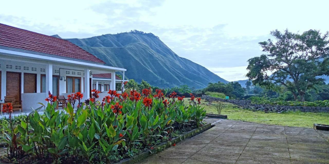Rinjani Hill Hotel 셈바룬 라왕 외부 사진