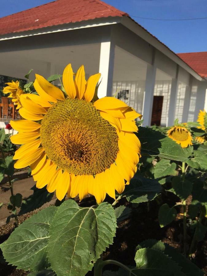 Rinjani Hill Hotel 셈바룬 라왕 외부 사진