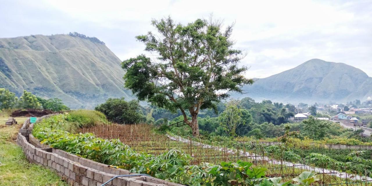 Rinjani Hill Hotel 셈바룬 라왕 외부 사진
